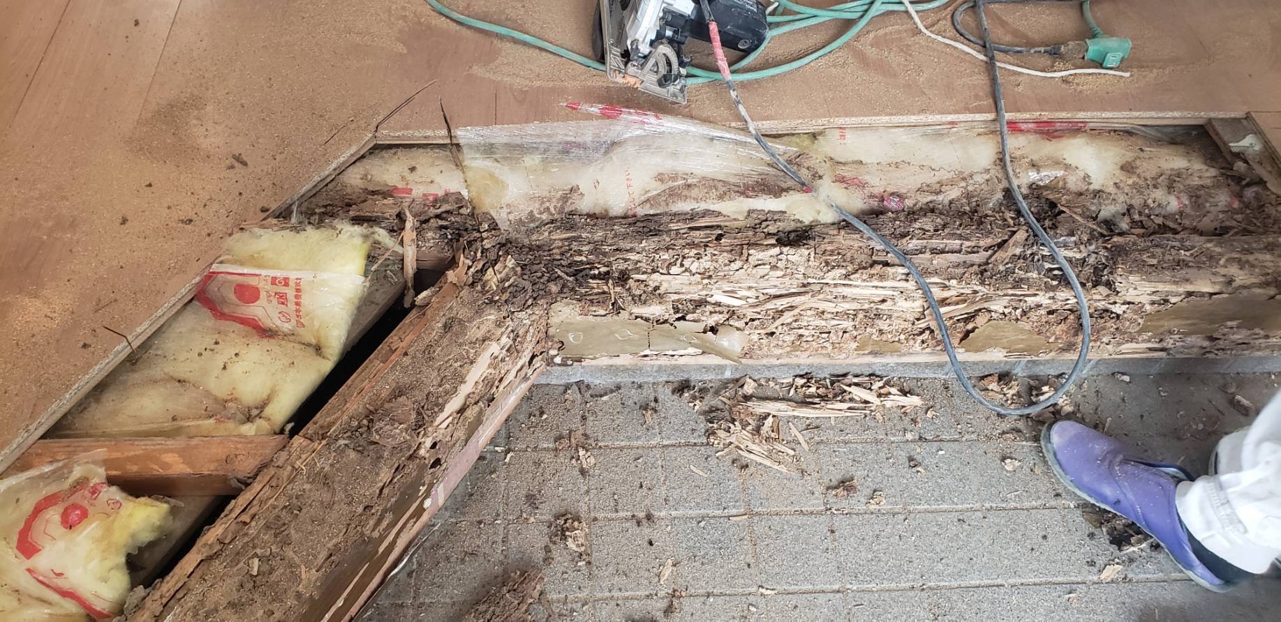 今年もそろそろ【羽アリ】の季節です